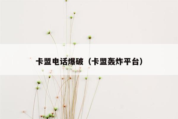 卡盟电话爆破（卡盟轰炸平台）