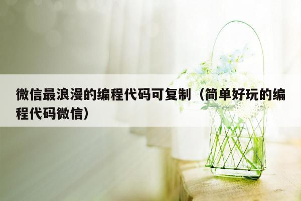 微信最浪漫的编程代码可复制（简单好玩的编程代码微信）