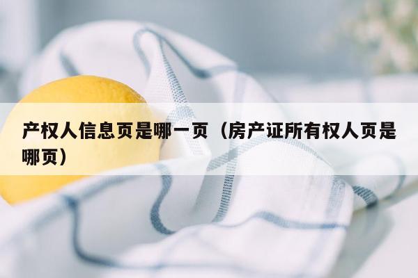 产权人信息页是哪一页（房产证所有权人页是哪页）