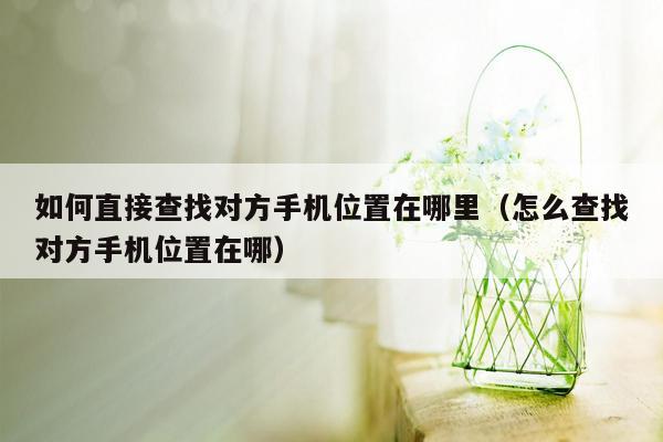 如何直接查找对方手机位置在哪里（怎么查找对方手机位置在哪）