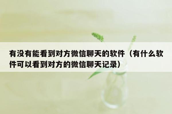 有没有能看到对方微信聊天的软件（有什么软件可以看到对方的微信聊天记录）