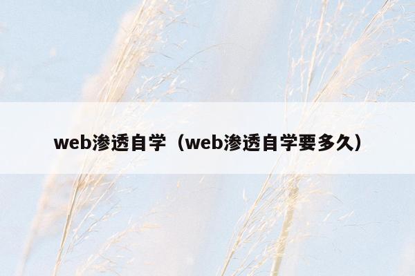 web渗透自学（web渗透自学要多久）