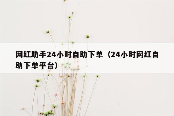 网红助手24小时自助下单（24小时网红自助下单平台）