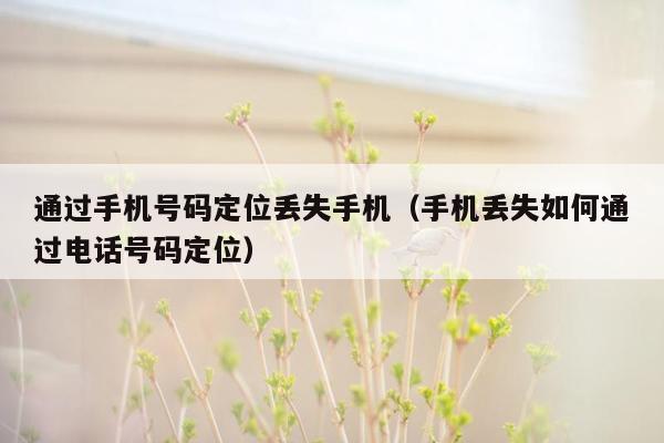 通过手机号码定位丢失手机（手机丢失如何通过电话号码定位）