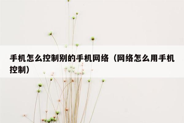 手机怎么控制别的手机网络（网络怎么用手机控制）