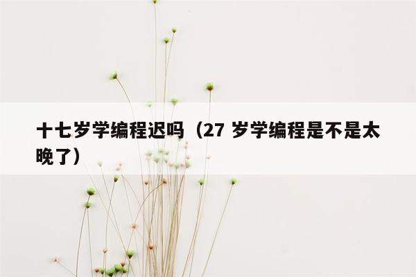 十七岁学编程迟吗（27 岁学编程是不是太晚了）