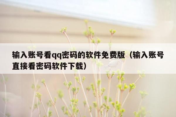 输入账号看qq密码的软件免费版（输入账号直接看密码软件下载）