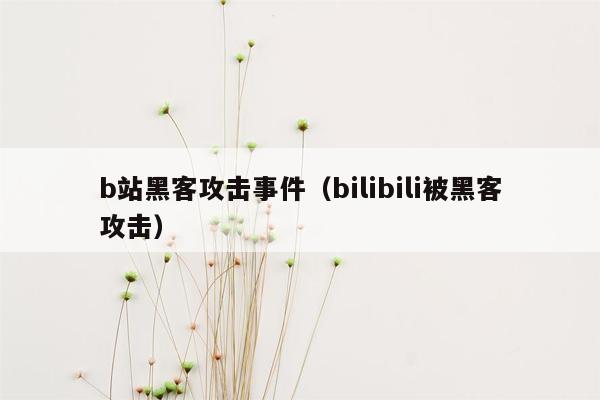 b站黑客攻击事件（bilibili被黑客攻击）