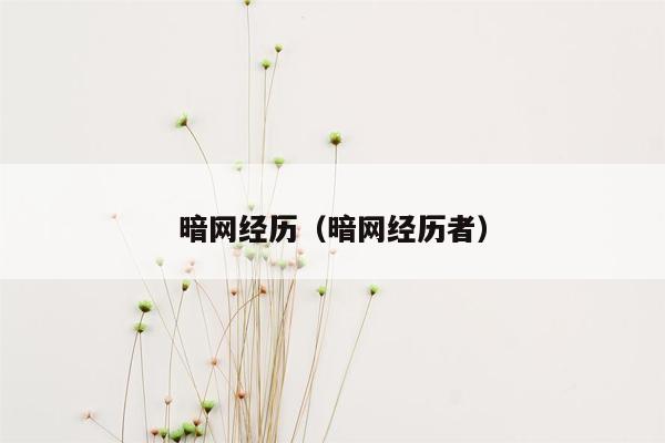 暗网经历（暗网经历者）