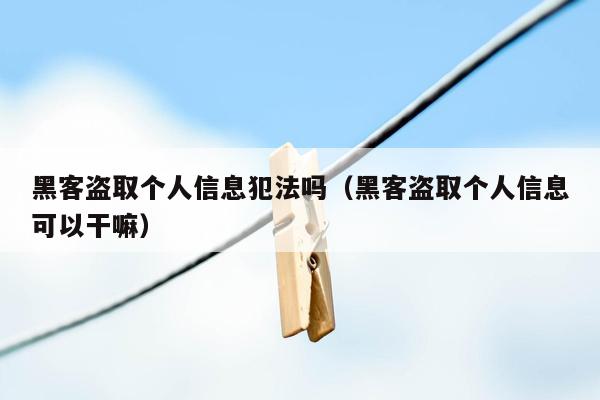 黑客盗取个人信息犯法吗（黑客盗取个人信息可以干嘛）