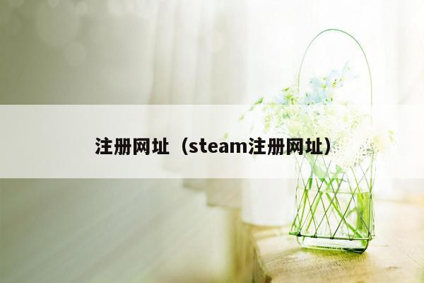 注册网址（steam注册网址）