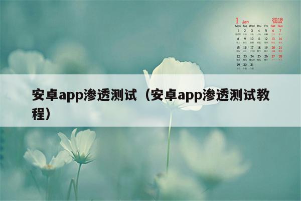 安卓app渗透测试（安卓app渗透测试教程）