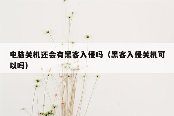 电脑关机还会有黑客入侵吗（黑客入侵关机可以吗）