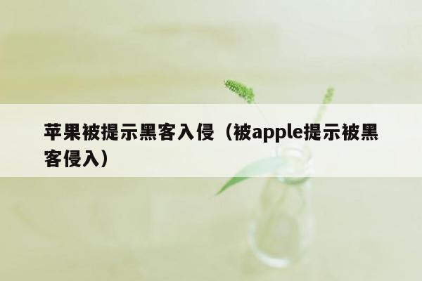 苹果被提示黑客入侵（被apple提示被黑客侵入）