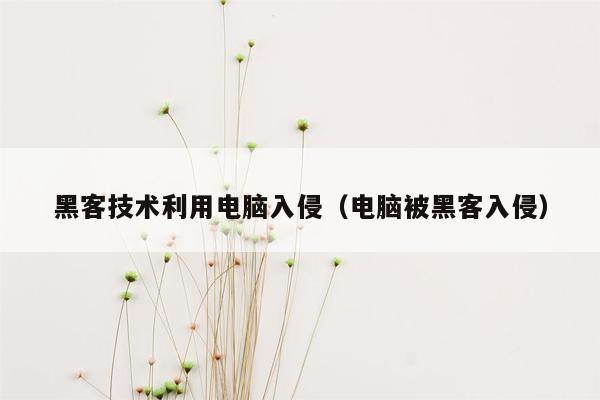 黑客技术利用电脑入侵（电脑被黑客入侵）