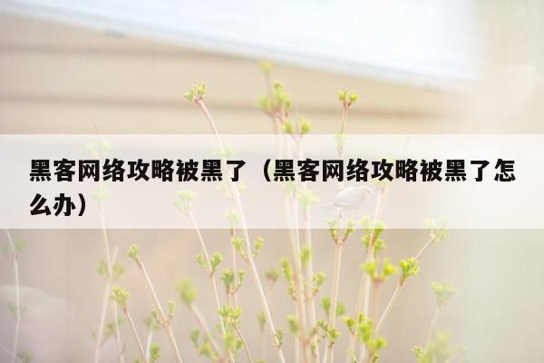 黑客网络攻略被黑了（黑客网络攻略被黑了怎么办）