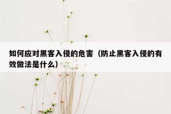 如何应对黑客入侵的危害（防止黑客入侵的有效做法是什么）