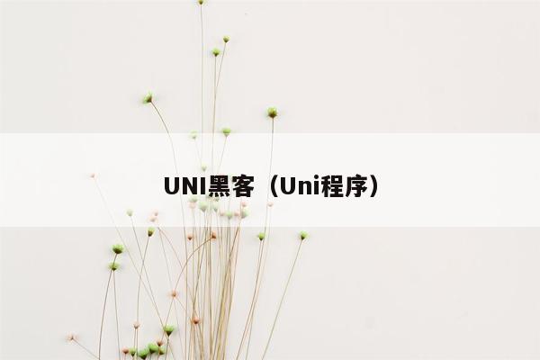 UNI黑客（Uni程序）