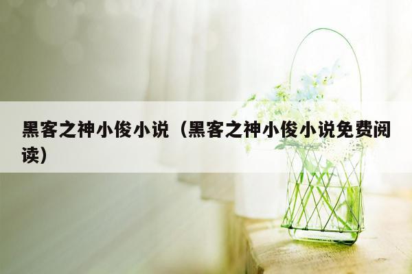 黑客之神小俊小说（黑客之神小俊小说免费阅读）