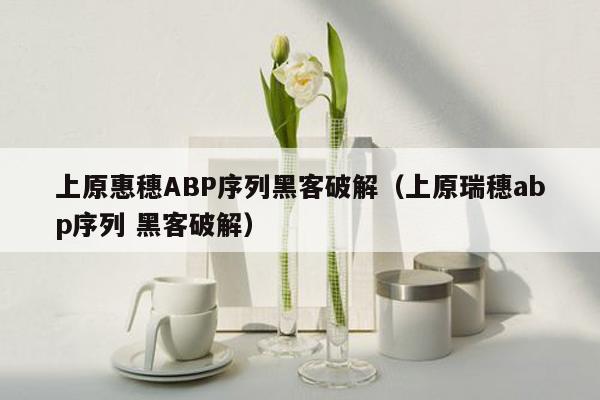 上原惠穗ABP序列黑客破解（上原瑞穗abp序列 黑客破解）