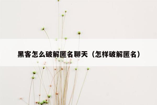 黑客怎么破解匿名聊天（怎样破解匿名）