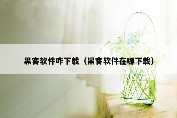 黑客软件咋下载（黑客软件在哪下载）