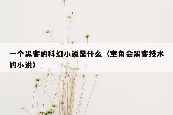 一个黑客的科幻小说是什么（主角会黑客技术的小说）