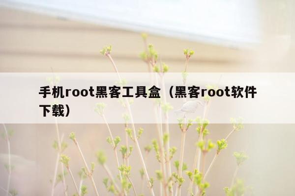 手机root黑客工具盒（黑客root软件下载）