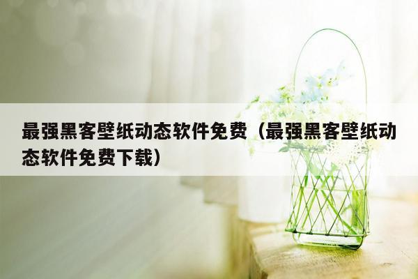 最强黑客壁纸动态软件免费（最强黑客壁纸动态软件免费下载）