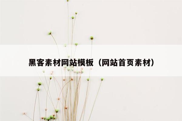 黑客素材网站模板（网站首页素材）