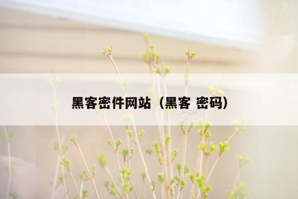 黑客密件网站（黑客 密码）