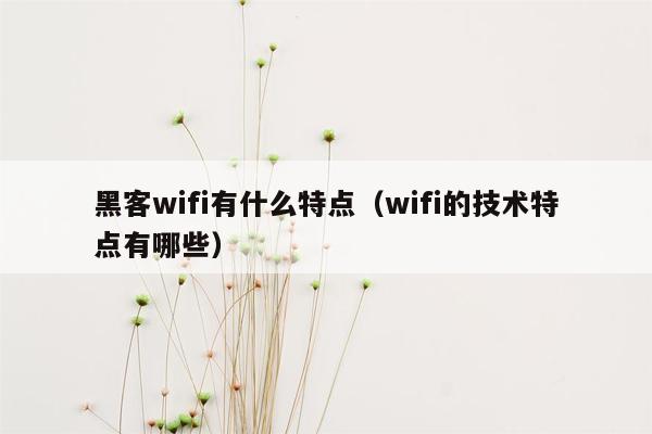 黑客wifi有什么特点（wifi的技术特点有哪些）