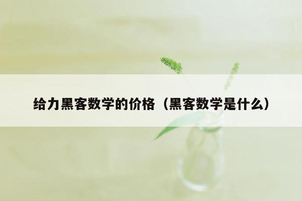 给力黑客数学的价格（黑客数学是什么）