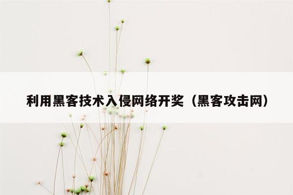 利用黑客技术入侵网络开奖（黑客攻击网）