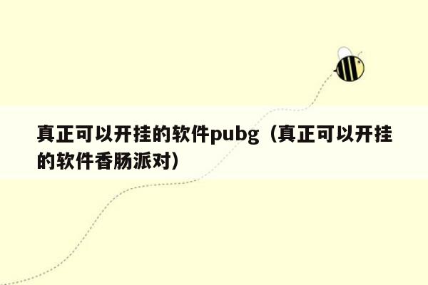 真正可以开挂的软件pubg（真正可以开挂的软件香肠派对）