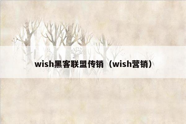 wish黑客联盟传销（wish营销）