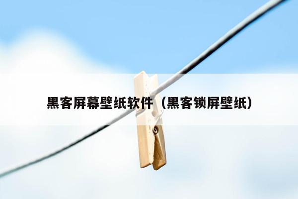 黑客屏幕壁纸软件（黑客锁屏壁纸）