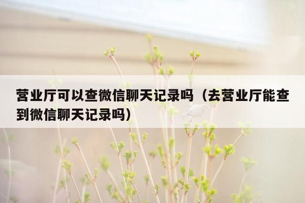 营业厅可以查微信聊天记录吗（去营业厅能查到微信聊天记录吗）