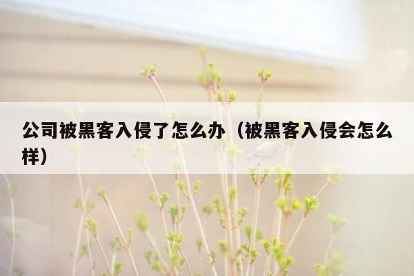 公司被黑客入侵了怎么办（被黑客入侵会怎么样）