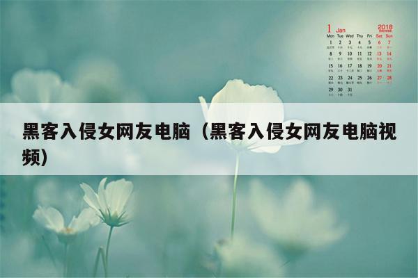 黑客入侵女网友电脑（黑客入侵女网友电脑视频）