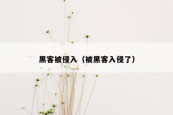 黑客被侵入（被黑客入侵了）