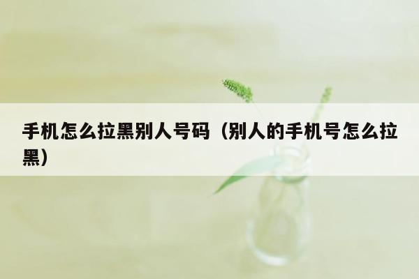 手机怎么拉黑别人号码（别人的手机号怎么拉黑）