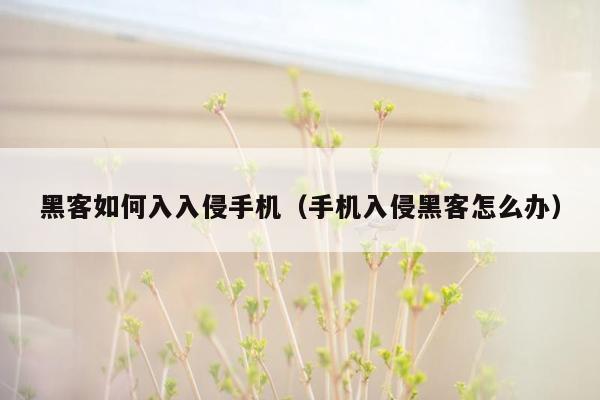 黑客如何入入侵手机（手机入侵黑客怎么办）