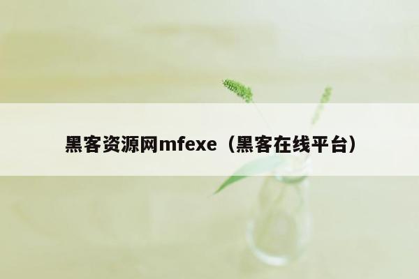 黑客资源网mfexe（黑客在线平台）