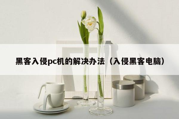 黑客入侵pc机的解决办法（入侵黑客电脑）