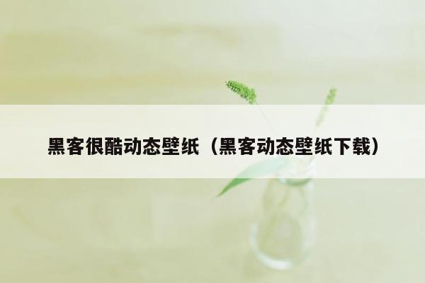 黑客很酷动态壁纸（黑客动态壁纸下载）