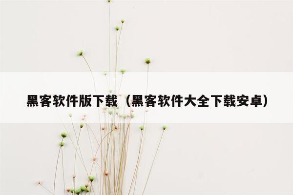 黑客软件版下载（黑客软件大全下载安卓）