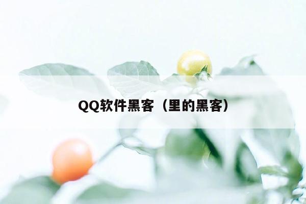 QQ软件黑客（里的黑客）