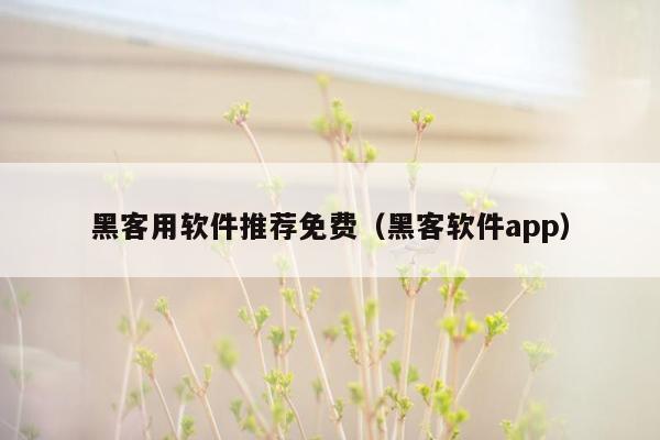 黑客用软件推荐免费（黑客软件app）