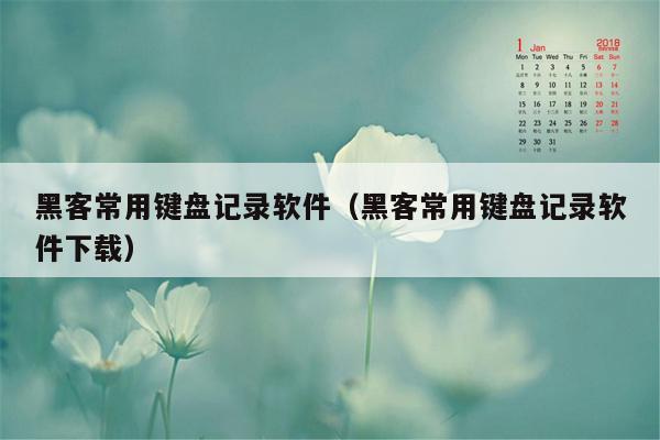 黑客常用键盘记录软件（黑客常用键盘记录软件下载）